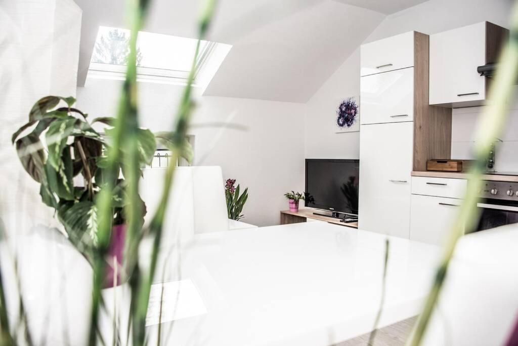 Apartment Pouringraz Fuer Kunst- Und Tennisliebhaber Kültér fotó